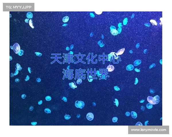 梦幻手游海底秘境攻略;梦幻手游海底秘境怎么打通关:梦幻海底探秘之旅:揭开秘境深处的玄机 梦幻手游海底秘境攻略;梦幻手游海底秘境怎么打通关:梦幻海底探秘之旅:揭开秘境深处的玄机