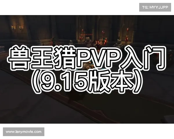 魔兽9.2兽王猎人PVP升级攻略 魔兽9.2兽王猎人PVP升级攻略